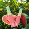 【鴨嘴獸CHILL】8800口潮流拋棄式小煙｜濃郁順喉玩家首選｜台灣現貨 7-11貨到