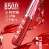 【XIAOKE 梟客】8500口拋棄式電子煙｜8.5ml儲油量 × Type-C充電設計｜台灣現貨秒發